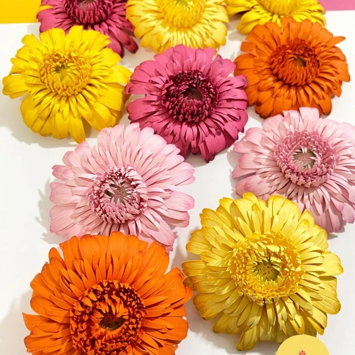 Gerberas de papel coloridas em amarelo, rosa e laranja